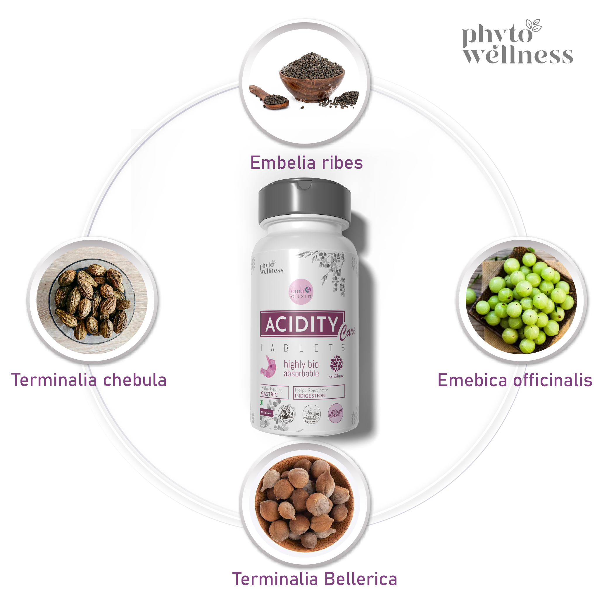 Probiotic Acidity Care 60 Tablets (HS00595)